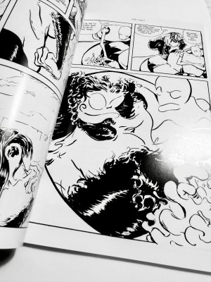 (image for) Leopold and Brink - Trade Paperback