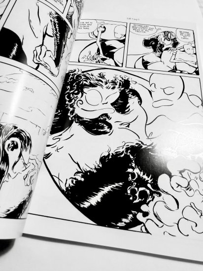 (image for) Leopold and Brink - Trade Paperback